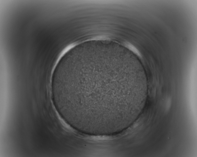 X0000086031087200703301049