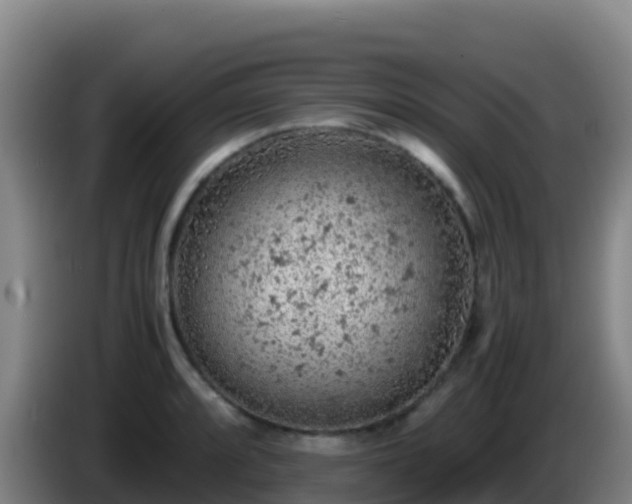 X0000086031088200703301049