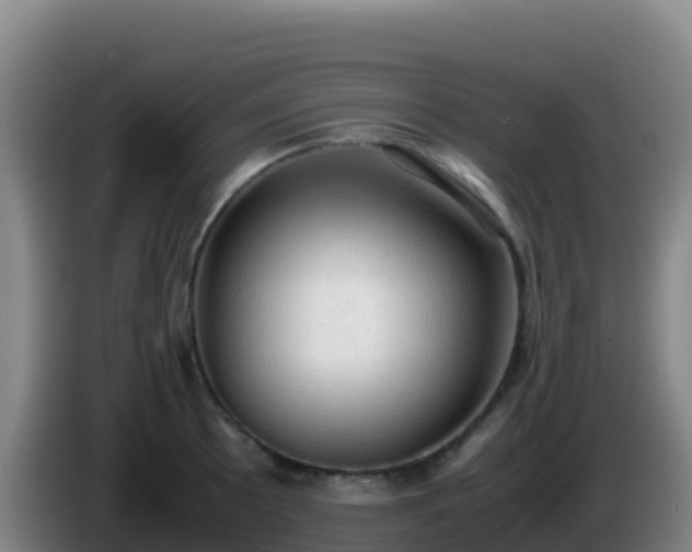 X0000086031089200703301049