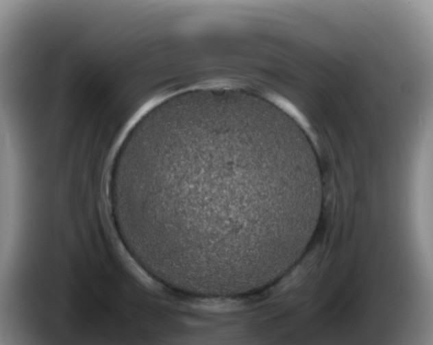 X0000086031091200703301049