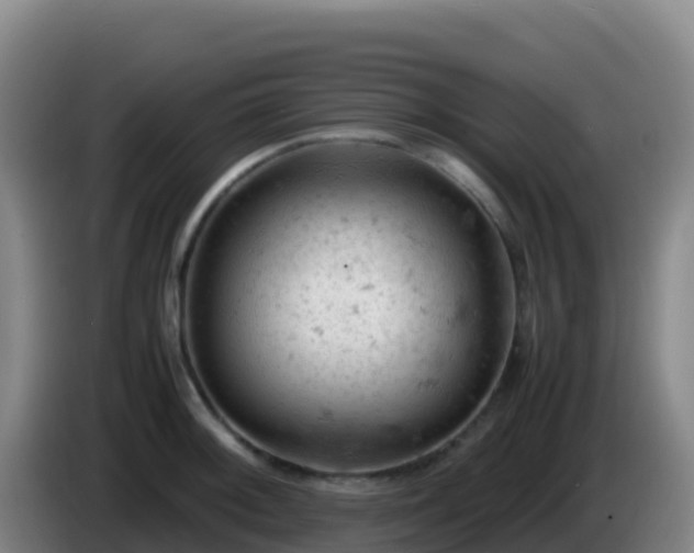 X0000086031092200703301049