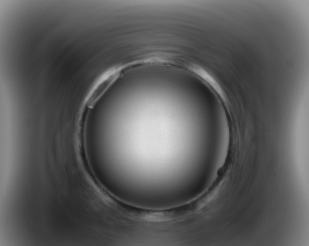 X0000086031093200703301049