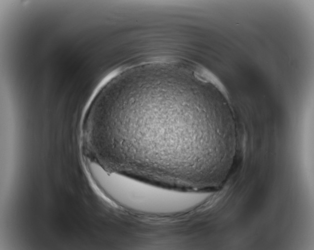 X0000086031095200703301049