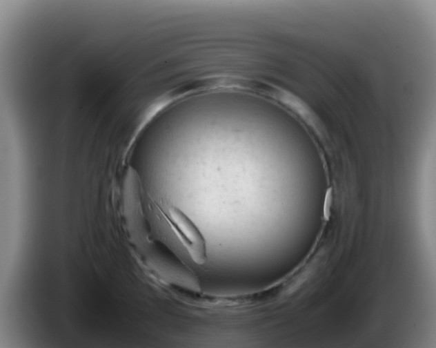 X0000086031097200703301049