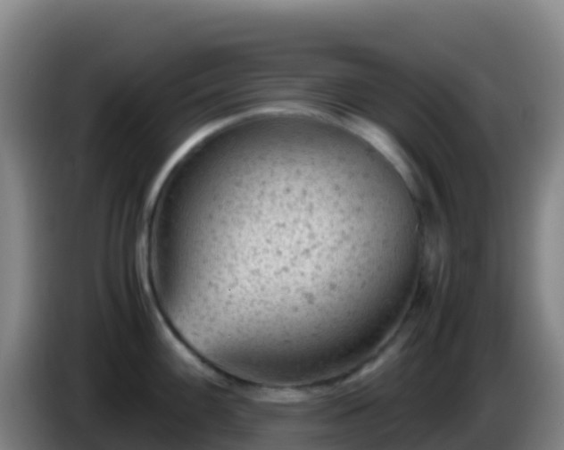X0000086031100200703301049