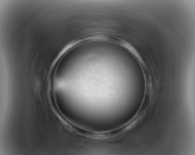 X0000086031101200703301049