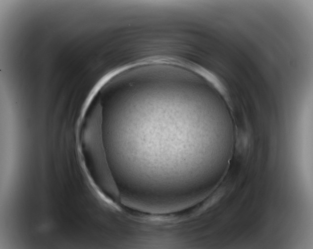 X0000086031102200703301048