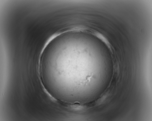X0000086031103200703301048