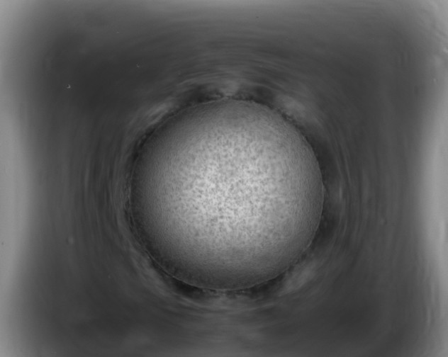 X0000086031105200703301048