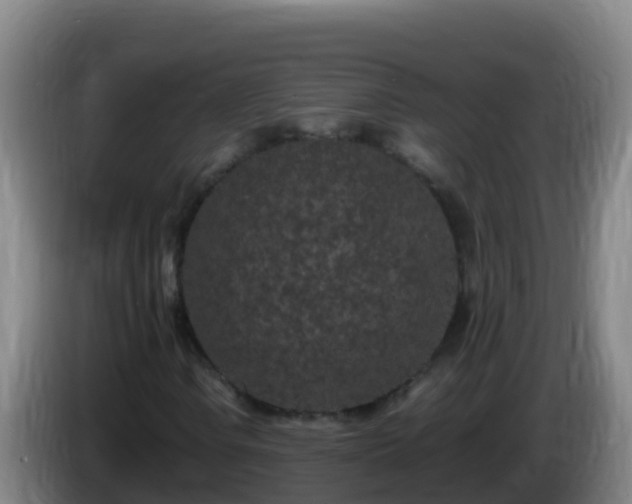 X0000086031106200703301048