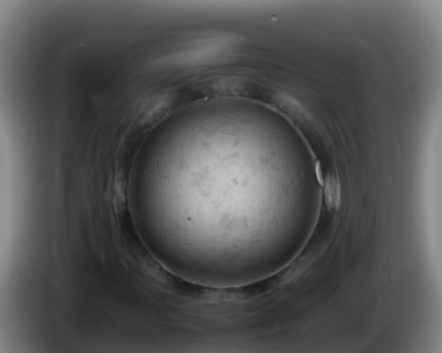 X0000086031107200703301048