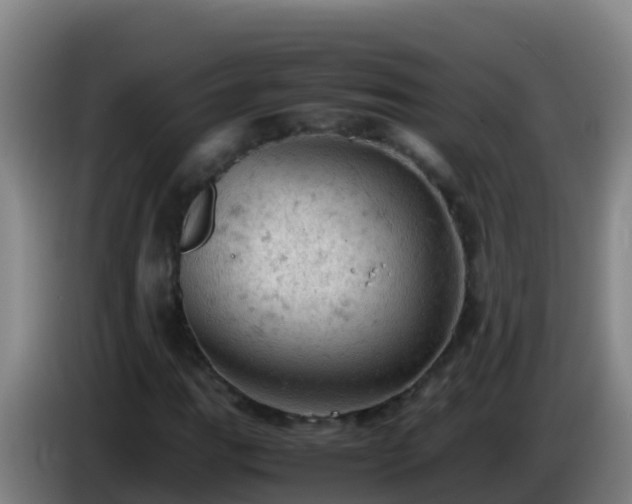 X0000086031111200703301048