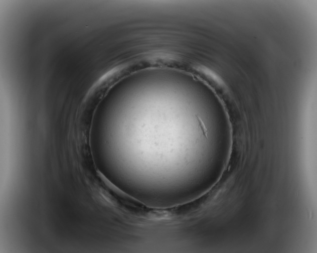 X0000086031112200703301048