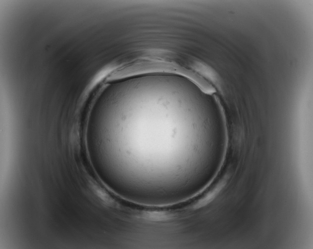 X0000086031114200703301048