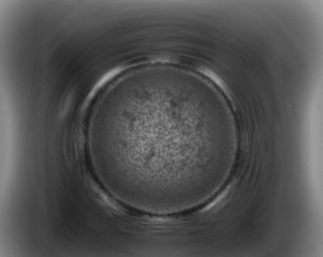 X0000086031115200703301048