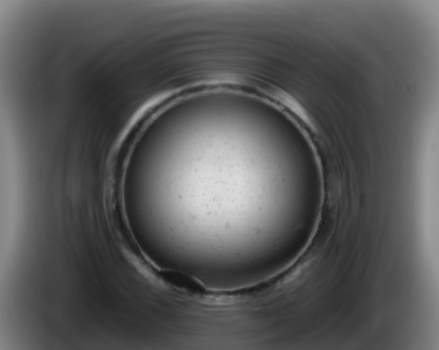 X0000086031116200703301048