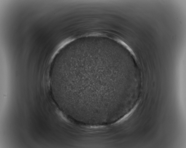 X0000086031117200703301048