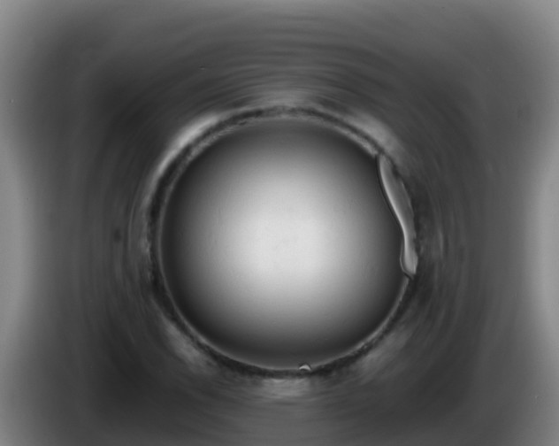 X0000086031118200703301048