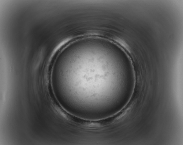X0000086031119200703301048