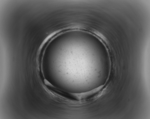 X0000086031120200703301048