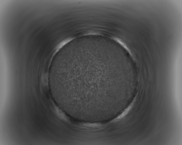 X0000086031121200703301048