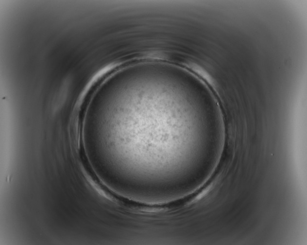 X0000086031123200703301048
