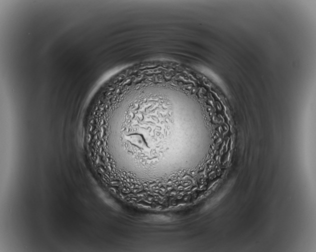 X0000086031125200703301048