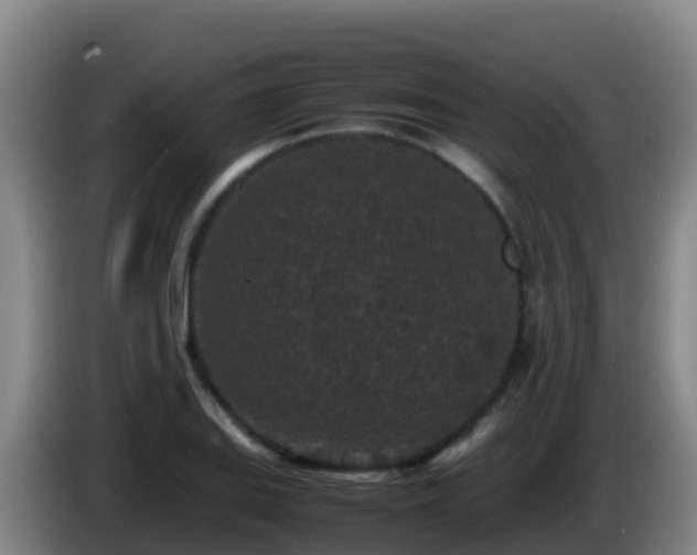 X0000086031127200703301048