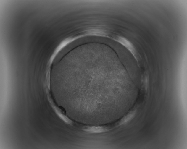 X0000086031128200703301048