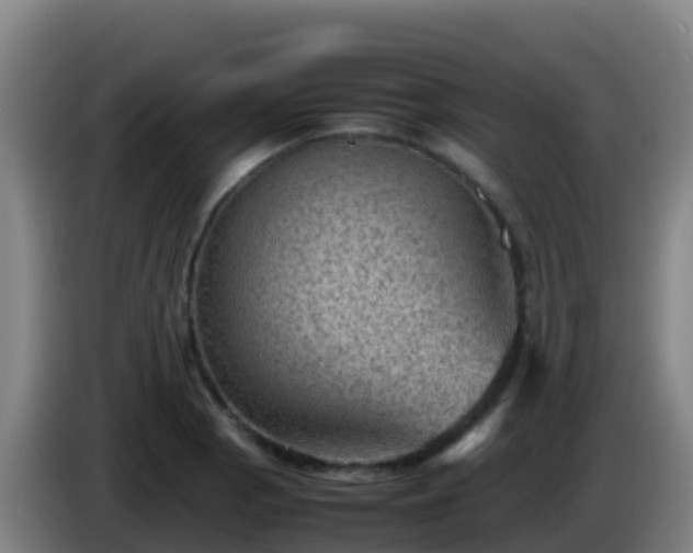 X0000086031129200703301048