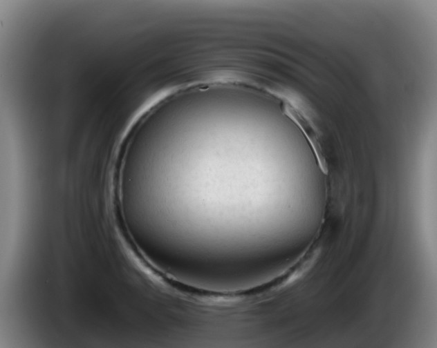 X0000086031134200703301048