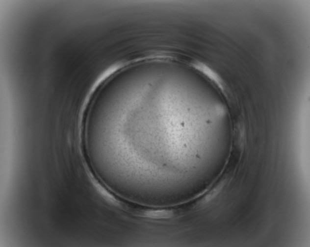 X0000086031135200703301048