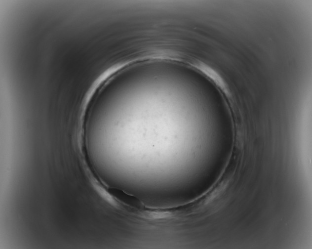 X0000086031136200703301048
