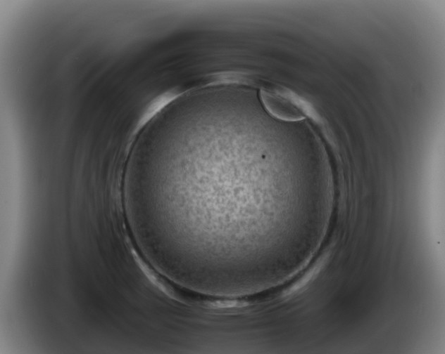 X0000086031137200703301048