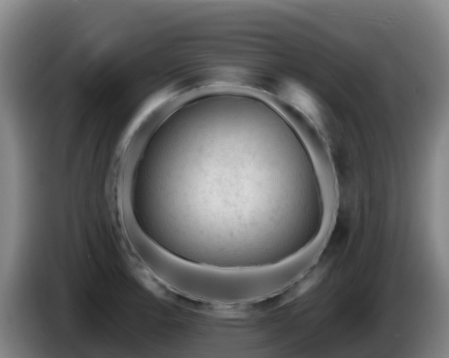 X0000086031138200703301048