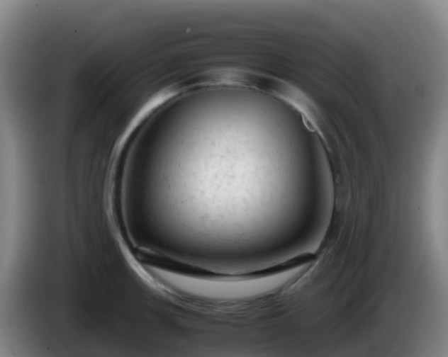 X0000086031139200703301048