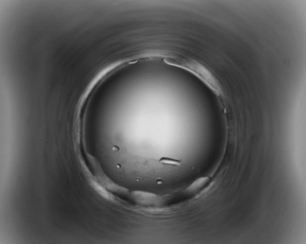 X0000086031140200703301048