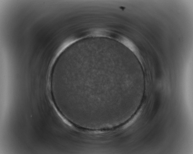 X0000086031141200703301048