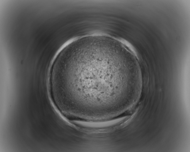 X0000086031142200703301048