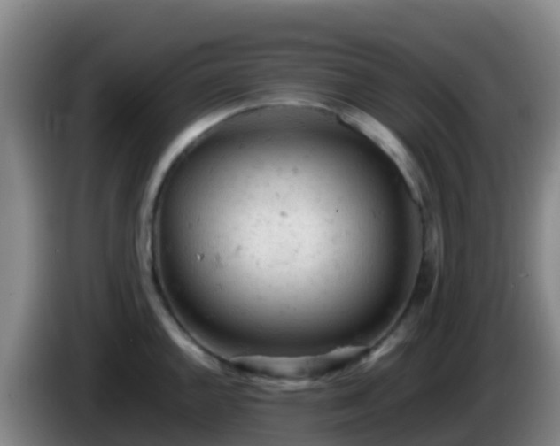 X0000086031144200703301048