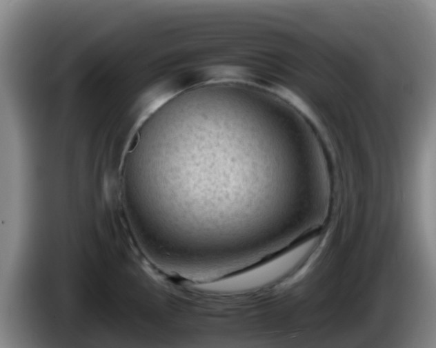 X0000086031145200703301048