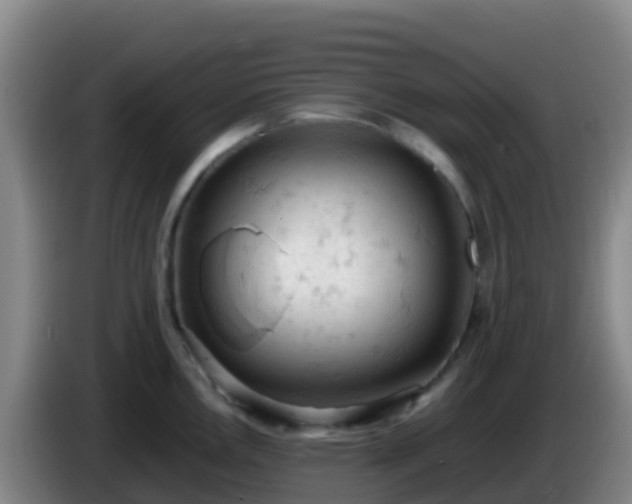 X0000086031146200703301048
