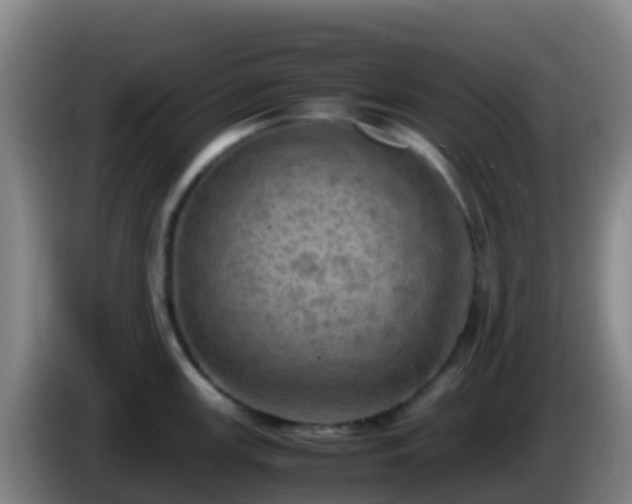 X0000086031147200703301048