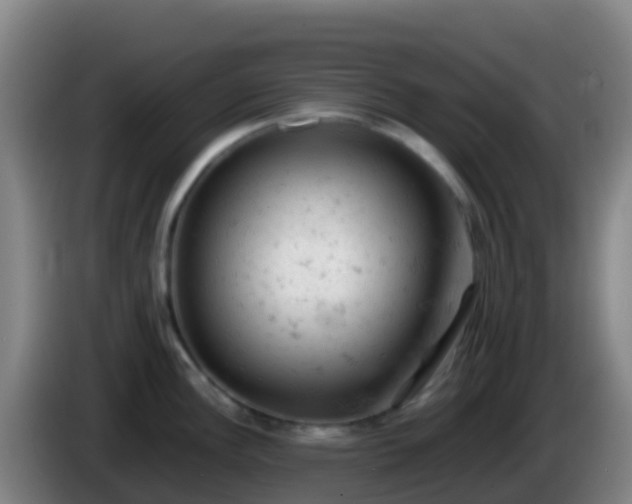X0000086031148200703301048