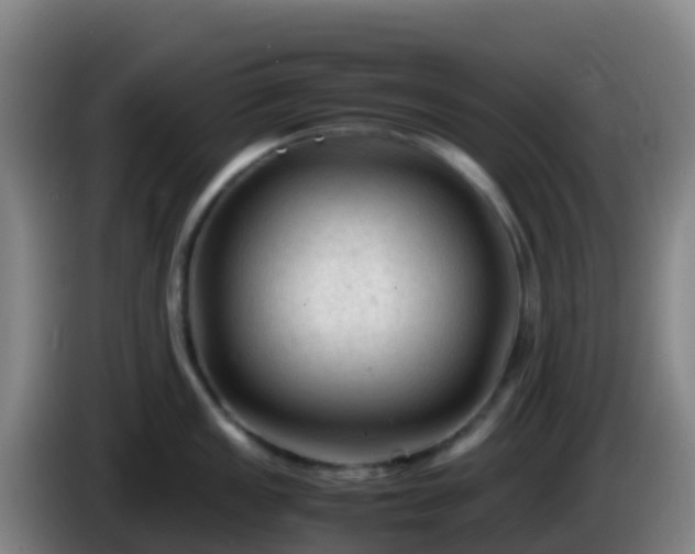 X0000086031149200703301048
