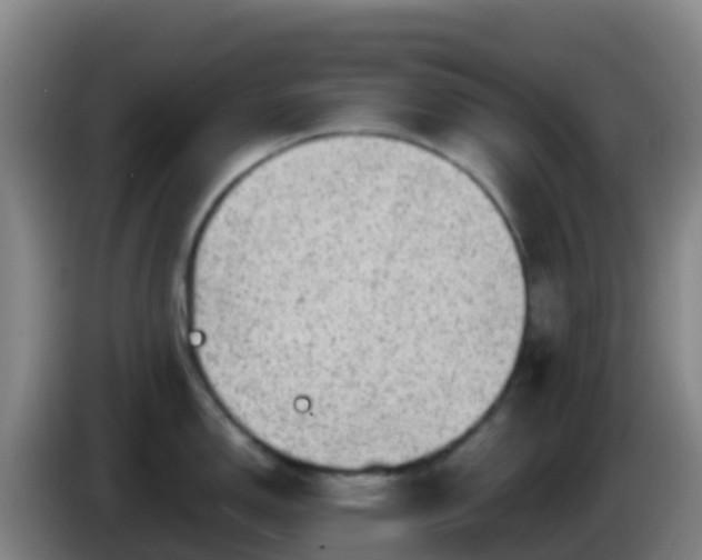 X0000086031150200703301048