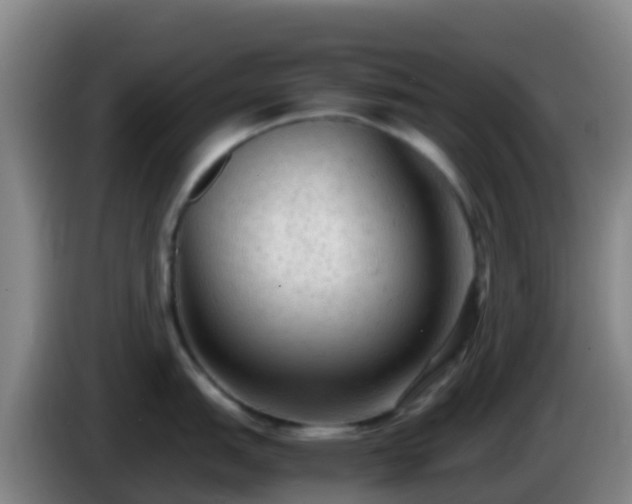 X0000086031151200703301048