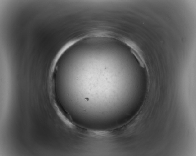X0000086031152200703301048
