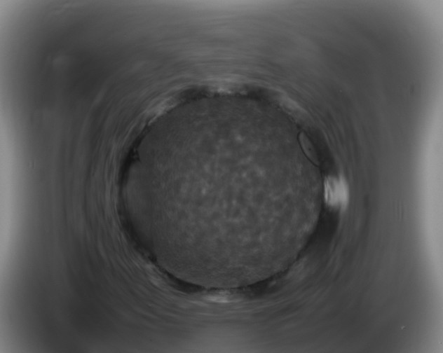 X0000086031155200703301048