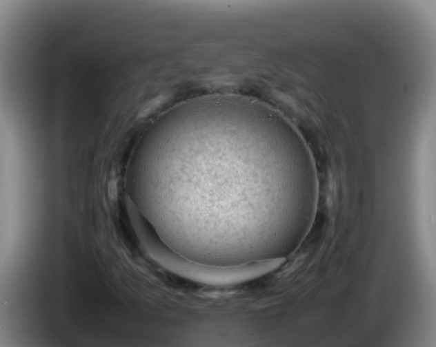 X0000086031157200703301048